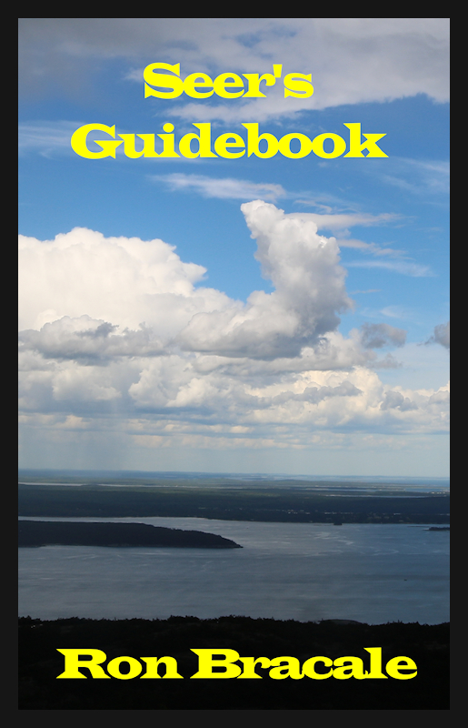 2019 Seer's Guidebook jpg